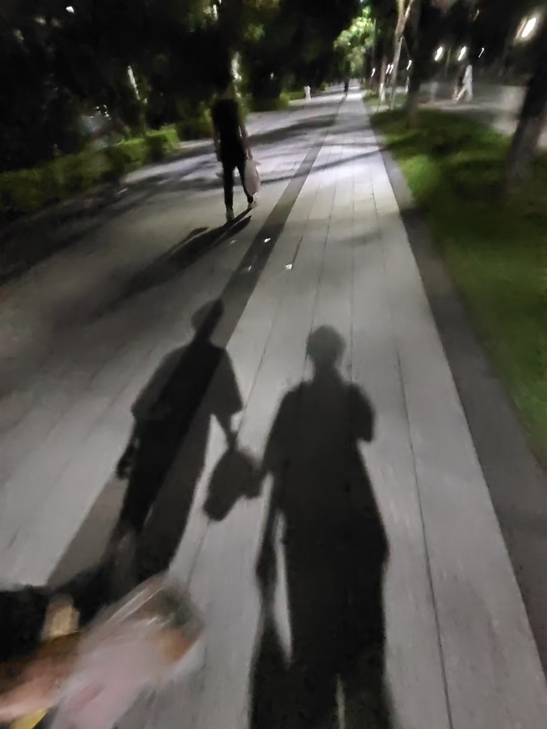 n老师 学姐
